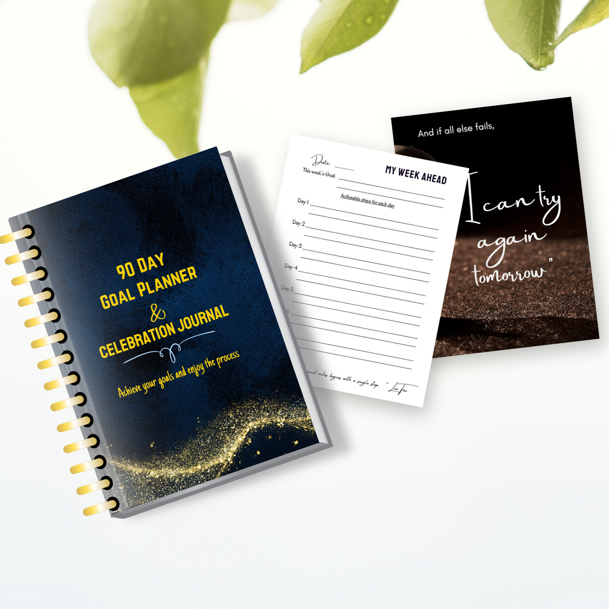 90 Day Goal Planner and Celebration Journal (Pre-order)