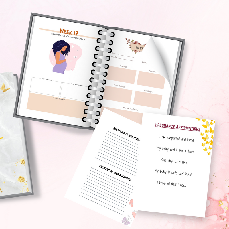 My Pregnancy Journal with Practical Guide (Pre-order)