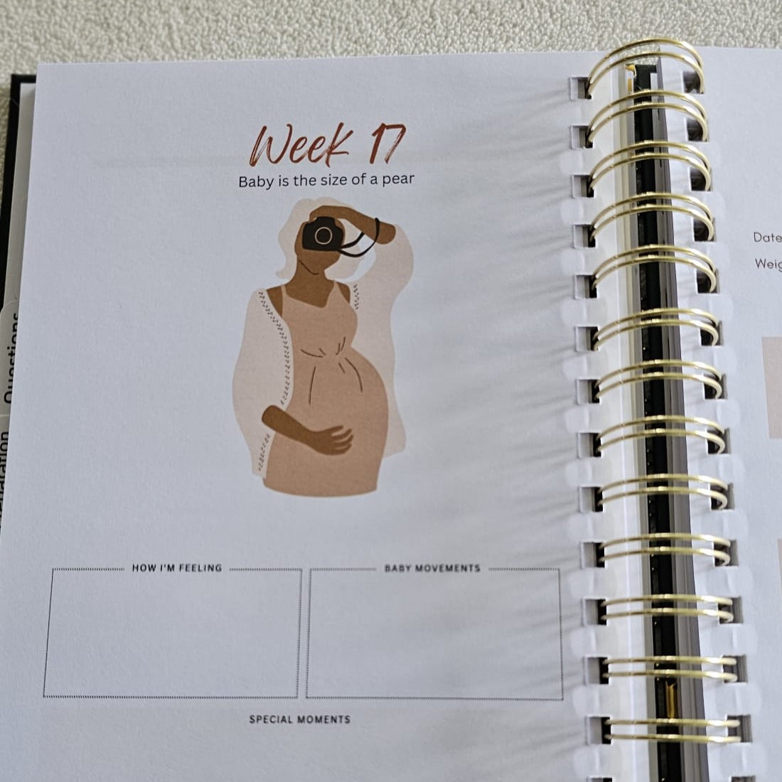 My Pregnancy Journal with Practical Guide (Pre-order)